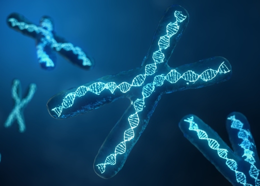 Fonksiyonel Tıp ve Epigenetik: Genlerimizi Nasıl Yönetebiliriz?