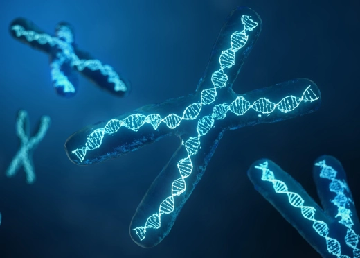 Fonksiyonel Tıp ve Epigenetik: Genlerimizi Nasıl Yönetebiliriz?