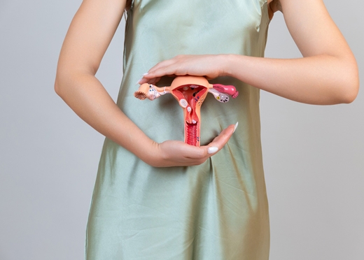 Doğum Günü Jinekoloji Ek Paket