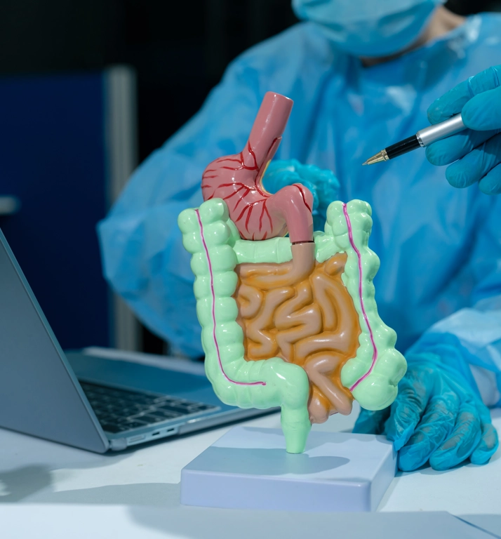 Girişimsel Radyoloji ve Gastroenteroloji Çalışmaları ve Yenilikçi Minimal İnvaziv