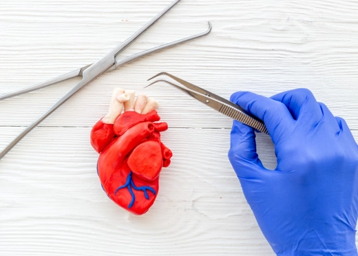 MitraClip ve TriClip Nedir?