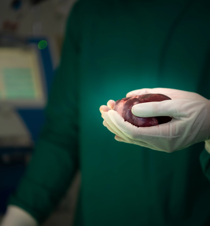 Organ Nakli Çalışmaları ve İleri Cerrahi Yaklaşımlar